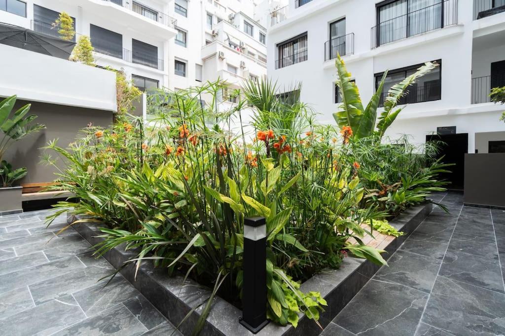 Appartement Superbe A
